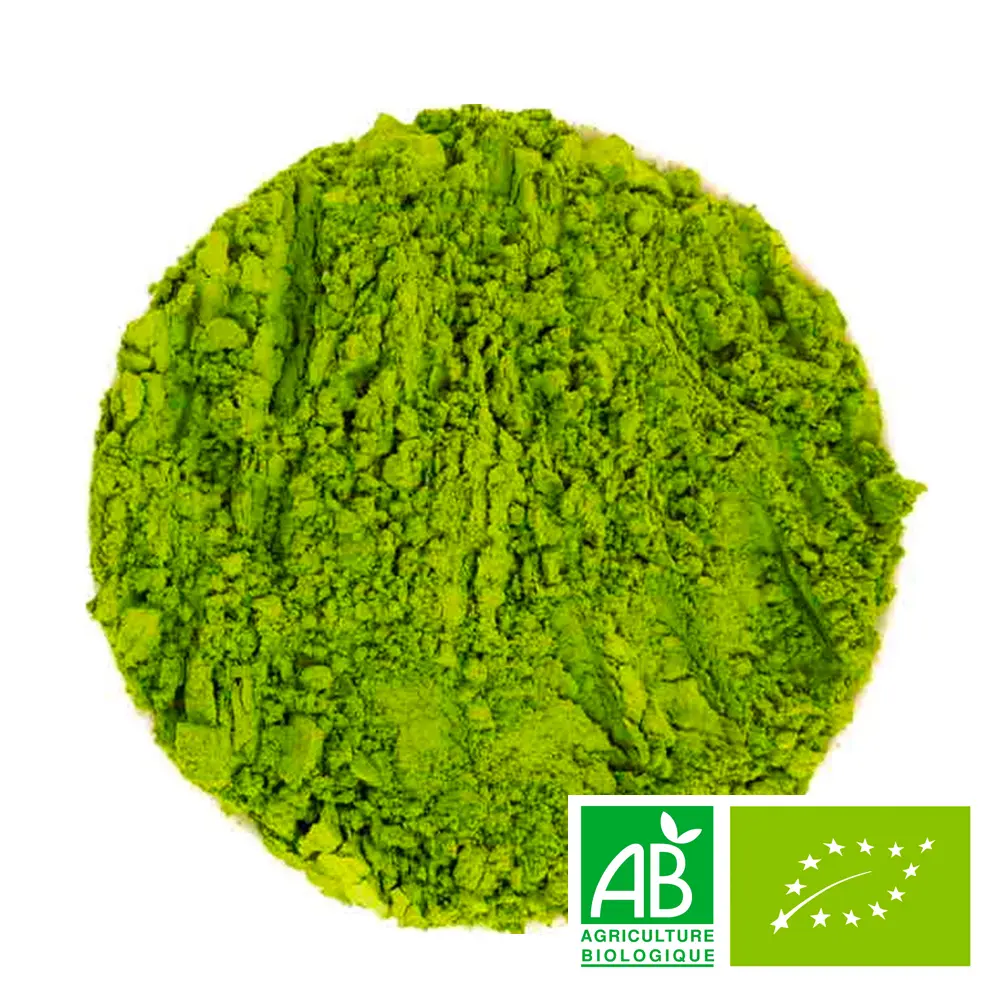 Thé vert Matcha BIO, issu de l'agriculture biologique