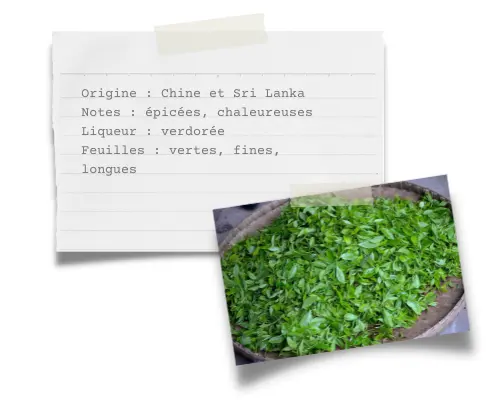 Fiche technique Sencha Gingembre - ETIENNE Coffee & Shop