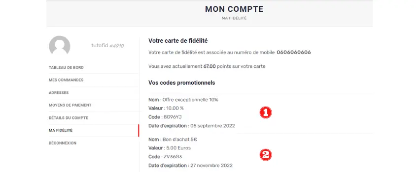 screenshot-page-ma-fidelite-avec-coupons