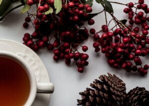 6 infusions pour cet automne - ETIENNE Coffee & Shop