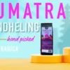 ETIENNE Coffee & Shop Café d'exception Sumatra Mandheling