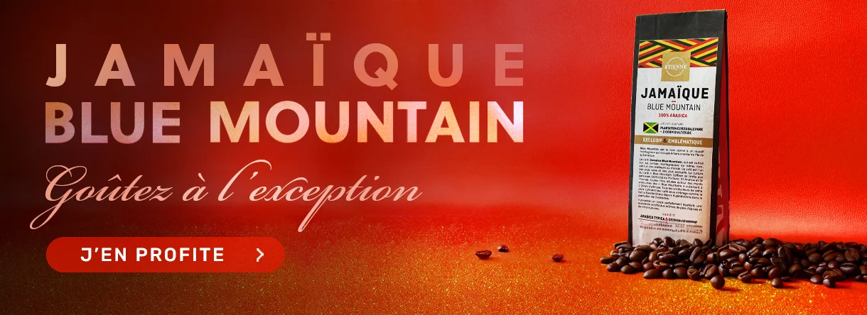 Jamaïque Blue Mountain café exception