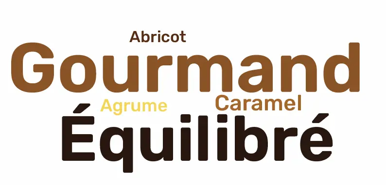Café Ouganda Bugisu AA 100% arabica