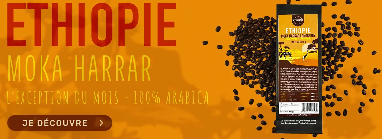 Café moka éthiopie harrar