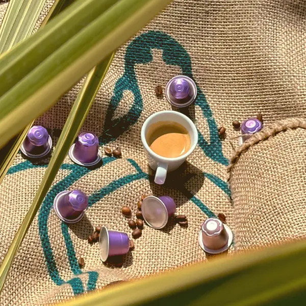 été capsule