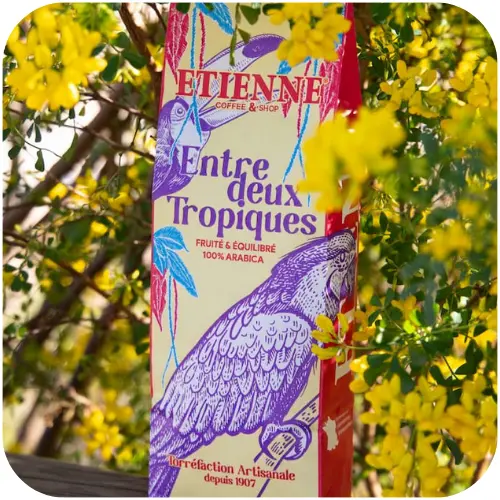 vue sachet entre deux tropiques mélange de printemps